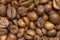 Coffee beans, close-up, blurred, colombian coffee bean