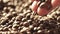 Coffee beans close up. Male hands hold coffee.