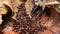 Coffee beans on dried teak leaves, brown background, texture