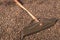 Coffee Beans Drying near shovel tool on farm