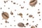 Coffee beans falling background. Black espresso coffee bean flying. Aromatic grain fall isolated on white. Represent