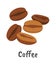 Coffee beans flat icon Tropical grains Plants cultivation