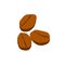 Coffee beans in a flat style. Logo. Coffee beans on white background.Vector