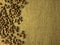 Coffee beans on gunny texture