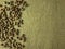 Coffee beans on gunny texture