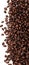 Coffee Beans - isolated image