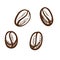 Coffee beans isolated seeds fragrant drink ingredient