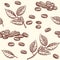 Coffee beans and leaves, espresso, cappuccino vector seamless pattern in sketch style