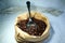 Coffee Beans in a paper bag on a table and an old large spoon