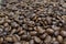 Coffee beans, Pots, cinnamon on dark background