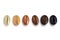 Coffee Beans Roast Stages