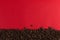 Coffee beans are scattered on a red paper background close-up, commercial copy space