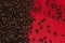 Coffee beans are scattered on a red paper background close-up, commercial copy space