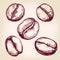 Coffee beans set hand drawn vector llustration sketch