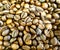 Coffee beans smoke roast background texture