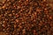 Coffee beans in warm golden brown background