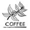 Coffee branch