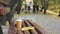 Coffee break on empty bench in autumn city park, families with baby carriages at public park walkway on background