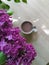 Coffee for breakfast, lilac, bright photo