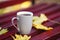 Coffee in a cup. On a beautiful bench in autumn park