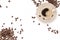 Coffee cup and Coffee beans On a white background with copys pace for your text