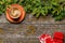 Coffee cup and fir tree branches in cozy setting