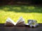 Coffee cup and open book with flower on wooden table ,soft focus