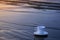 Coffee cup on the sea sand on the promenade.White coffee cup on beach with warm sunlight .Selective focus