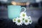 Coffee cup or tea cup with white daisy flowers on light bokeh background.