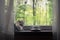 Coffee Cup on the window. The cat on the windowsill. Green forest outside the window