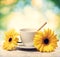 Coffee cup with yellow gerberas