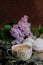 Coffee cup, zephyr sweet dessert and lilac. Food still-life. Romantic morning breakfast.