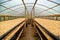 Coffee drying greenhouse