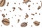 Coffee falling bean background. Black espresso coffee bean flying on white. Aromatic grain fall isolated. Represent