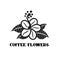 Coffee flowers logo