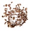 Coffee. Fresh-roast beans of arabica flying by spiral