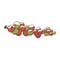 Coffee fruit icon, natural berries on a branch