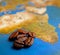 Coffee grains on Africa map