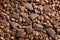 Coffee grains chocolate