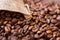 Coffee grains, fall out of the bag. The background of coffee beans_