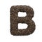 Coffee letter B - Capital 3d roasted beans font - suitable for Coffee, energy or insomnia related subjects