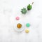 Coffee macarons cookies succulent plants table flat lay