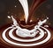 Coffee with milk. Splash effect.  3D vector. High detailed realistic illustration