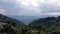 Coffee mountains in Colombia