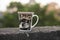 A coffee mug is resting on the wall of a rooftop terrace