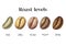 Coffee Roasting Levels for packaging design.