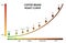 Coffee roasting levels. Roast curve, optimal temperature for roasting beans vector illustration