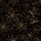 Coffee seamless pattern with cinnamon and anise, contour drawing on black background. Vector texture from spices for tea and