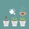 Coffee seed, watering can, cup plant in pot.