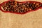 Coffee Seeds Over Textile Background. Abstract Drink Background.